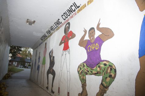 The pedestrian mural is seen in the tunnel by Hubbard Park in Iowa City on Sunday, Oct. 28, 2018. The mural will be decommissioned in November.