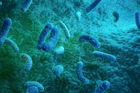 The Doctor Is In: What’s your gut trying to tell you?