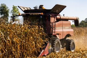 Johnson County farmer Darrell Schulte combining corn on Wednesday, Sept.15,.2021. Schulte began his corn harvest early this year.